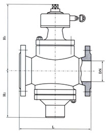 自力式平衡閥結(jié)構(gòu)圖