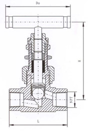 SS-12NBF8美標(biāo)內(nèi)螺紋針型閥